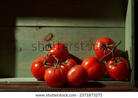Still Life with a bunch of natural grown Tomatoes. Rustic wood background, antique wooden table.