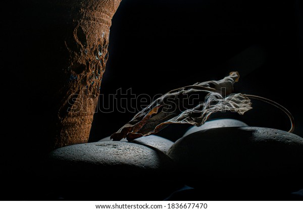 still life chiaroscuro with a Mexican garden\
pot, and a dry leafe on rocks with moody light and dark background,\
night garden and autumn concept, chiaroscuro, baroque style fine\
art photography.