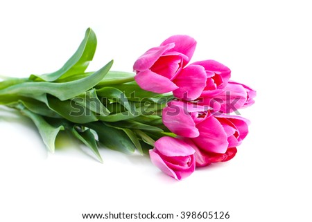 Still life with colorful tulips on white