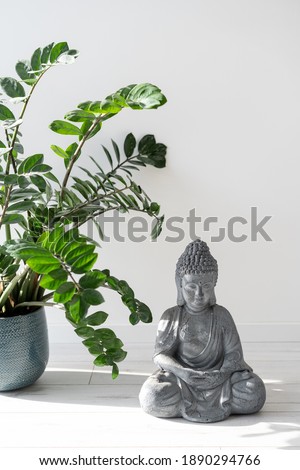 Still life concept. Vertical view of green houseplant standing on wooden floor near gautama buddha statue in meditation pose. Zen buddhist figure in minimalistic room with modern interior design