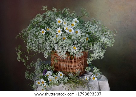 Still life with Daisies in a basket on the table.