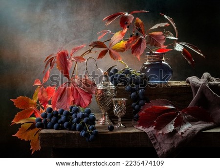 Still life with dark grapes and a branch of wild grapes.