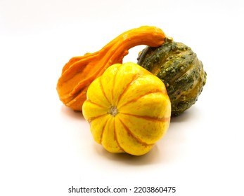 Still Life of decorative autumn gourds and mini pumpkin isolated on white