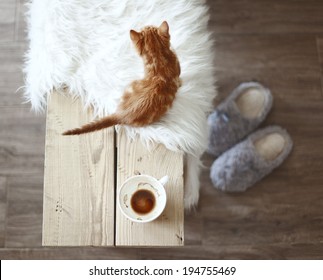 Still Life Details, Cup Of Coffee On Rustic Bench, Top View Point