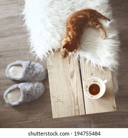 Still Life Details, Cup Of Coffee On Rustic Bench, Top View Point