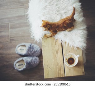 Still Life Details, Cup Of Coffee On Rustic Bench, Top View Point