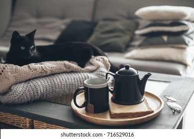 Still Life Details In Home Interior Of Living Room. Black Cat Relaxing On Sweater. Cup Of Tea On A Serving Tray On Coffee Table. Breakfast Over Sofa In Morning Sunlight. Cozy Autumn Or Winter Concept.