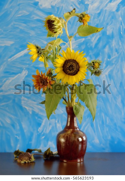 Still Life Few Sunflowers Vase Stock Photo Edit Now 565623193