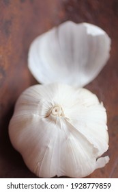 Still Life of Fresh Garlic