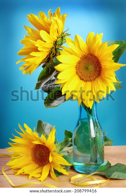 Still Life Fresh Sunflowers Vase On Stock Photo Edit Now 208799416