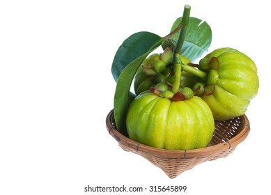 Pure garcinia cambogia reviews bodybuilding image 4
