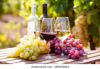 still life with glasses of red and white wine and grapes in field