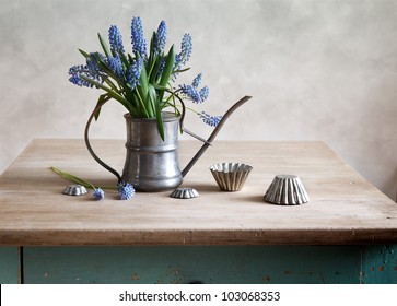 Still life with grape hyacinths arranged in an antique watering can with old moulds on a rustic wooden kitchen table