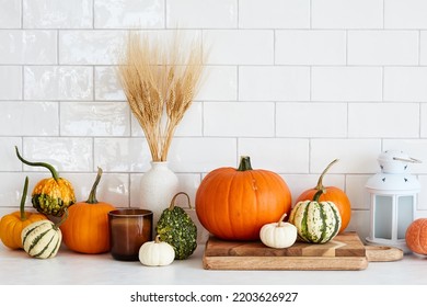 Still Life Harvest Pumpkins, Fall Home Decorations And Vase Of Dry Wheat On Table In Scandinavian Kitchen Interior.