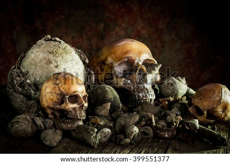 Still life with human skull on dried wood