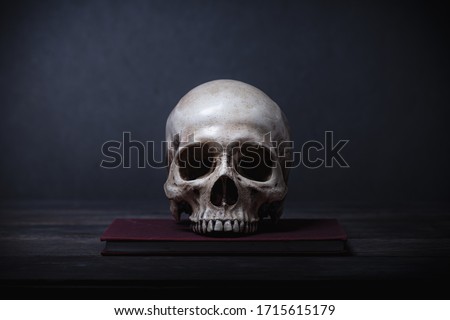 Still life of human skull that died for a long times ,concept of horror or thriller movies of scary crime scene ,Halloween theme, visual art