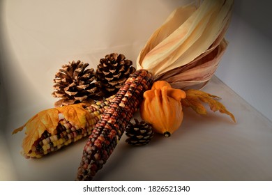 Still Life with Indian corn a gourd and pine cones.