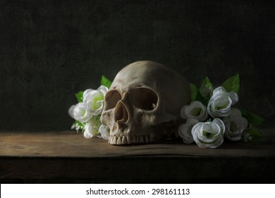 Skull Still Life Images Stock Photos Vectors Shutterstock