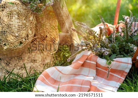 Still life in a peasant style. Peppermint flowers and leaves close-up are collected in a wicker basket against the background of a straw hat. Collection of medicinal herbs.