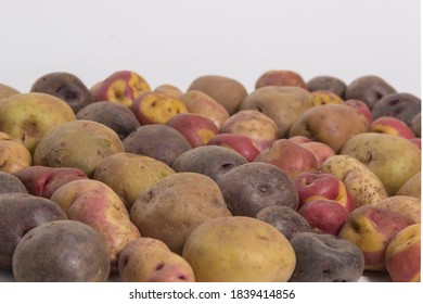 Still Life Of Peruvian Potatoes