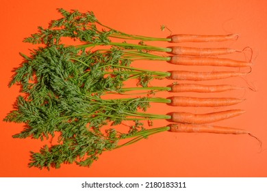 Still Life Photo Of Carrots On An Orange Background. Still Life Food Photography For Many Purposes