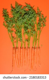 Still Life Photo Of Carrots On An Orange Background. Still Life Food Photography For Many Purposes