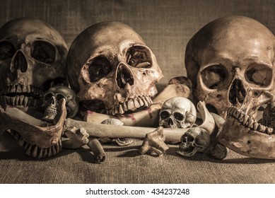 still life photography with closeup pile of skulls and animal bones on sackcloth background. Genocides concept, horror creepy halloween background