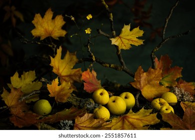 still life, phyto design, flower arrangement, ikebana, wildflowers, Chinese quince fruits, colored maple leaves, golden quince fruits. - Powered by Shutterstock