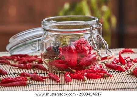 Still life picture of preserving jar full of fresh harvested organic red chilli peppers or paprika with dried red chilli peppers around. Very hot vegetable or spice, selut from home summer gardening.