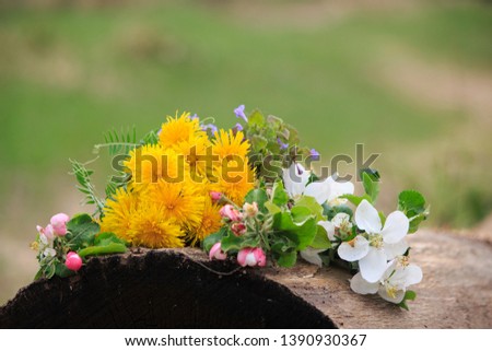 Similar – Wooden box filled with vegetables and flowers