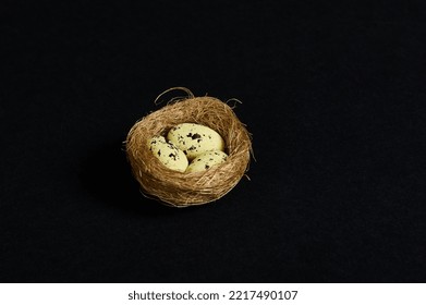 Still Life. Quail Eggs In Nest Of Straw, Isolated Over Black Background. Copy Advertising Space For Promotional Text. Wild Nature. Animals. Nature, Countryside, Birds, Spring, New Life Concept