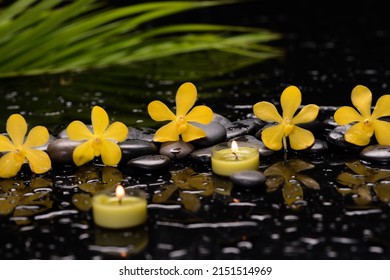 Still life of with 
Row of orchid ,candle  and zen black stones with green leaves  on wet background
