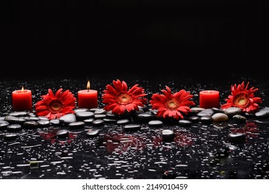 Still life of with 
Row of red flower , with red candle and zen black stones on wet background 
