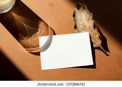 Still life scene with hard shadows on brown background in sunlight glass and blank business, greeting card, invitation mockup. Long harsh shadows. New naturalism 