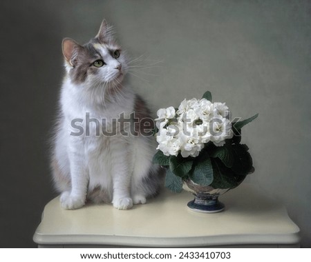 Still life with spring bouquet and curious cat