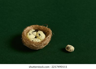 Still Life. Studio Shot. Close-up. Quail Eggs In Nest Of Straw, Isolated Over Green Background. Copy Ad Space. Wild Nature. Animals. Nature, Countryside, Birds, Spring, New Life Concept