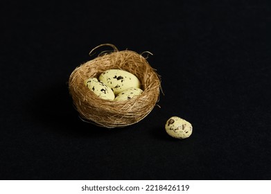 Still Life. Studio Shot. Close-up. Quail Eggs In Nest Of Straw, Isolated Over Black Background. Copy Ad Space. Wild Nature. Animals. Nature, Countryside, Birds, Spring, New Life Concept