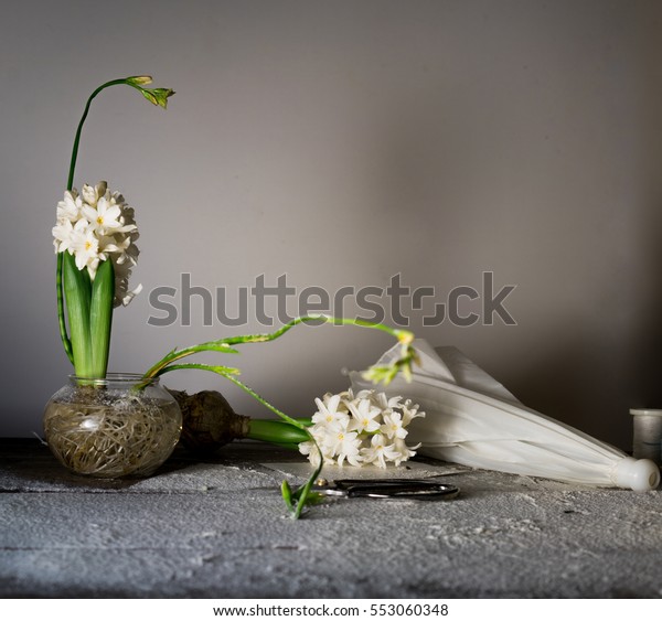 Still Life Umbrella Hyacinths Freesias Glass Stock Photo Edit Now