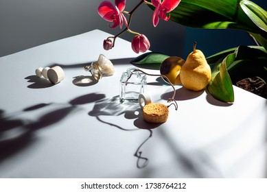 Still life of various objects, textures and plants. The composition has a pear, orchid, sponge, glass, branch, stone, mirror and other materials.