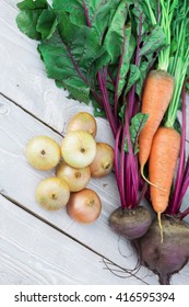 Still Life Of Of Vegetable Root Crop