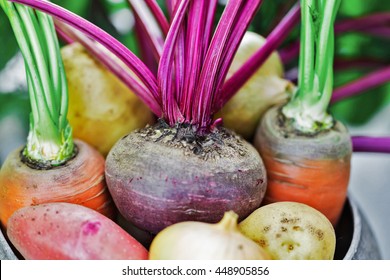 Still Life Of Of Vegetable Root Crop