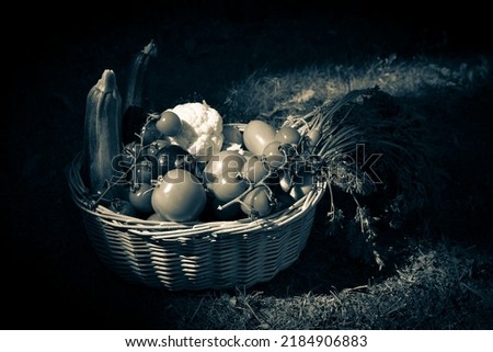 Still life vintage style photography of a wicker basket full of vegetables. Monotone dark background. 