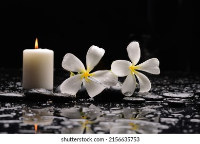 still life of with white orchid on zen black stones and candle on wet background