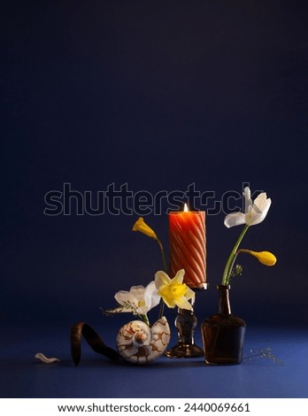 still life witn spring flowers,  seashell and burning candle on dark blue background