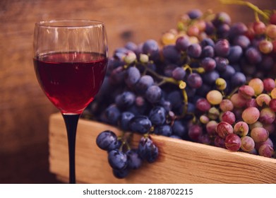 Still life.Focus on a glass of red wine, made from organic sweet and juicy grapes, harvested in vineyards in a countryside. Viticulture, wine production, grape cultivation. Viniculture. Agriculture. - Shutterstock ID 2188702215
