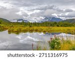 A still pond reflects dramatic clouds and rugged mountains surrounded by lush wetland vegetation near Talkeetna, Alaska.