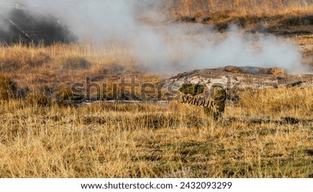 Still water geyser front surrounded with rocky terrain and dry green grass in countryside. A mossy rock marks the Smidur Geysir. The Golden Circle, Iceland
