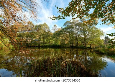 Still Water Lake Scene Example
