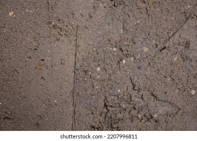 Still Wet Cement Floor Background