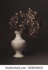 Stilllife with dry flowers in a vase on a grey background.  Fine art.